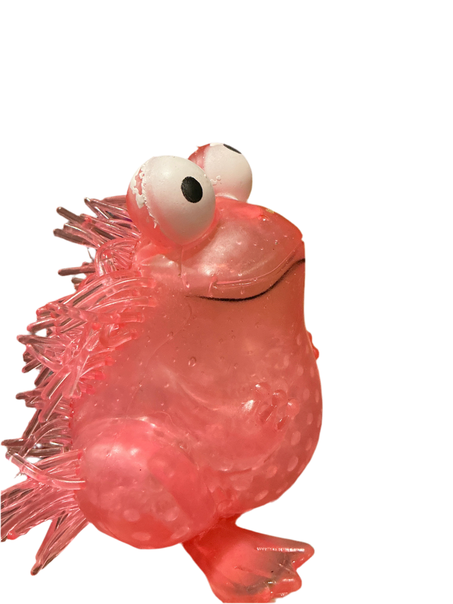Squishy frog