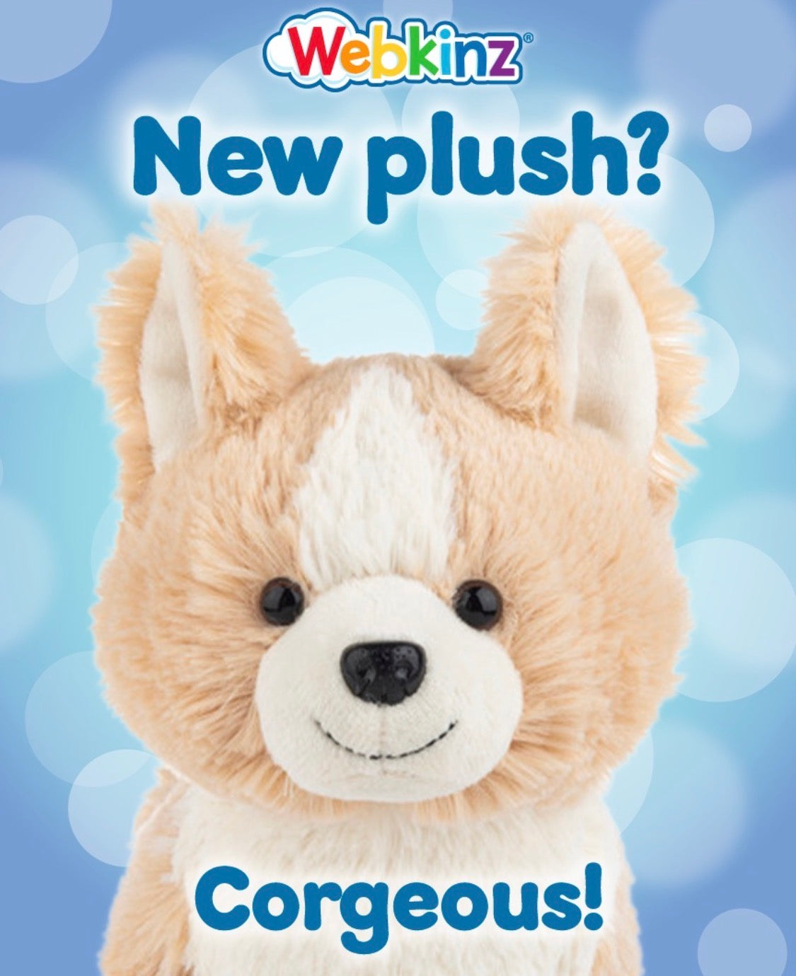 Corgi Webkin