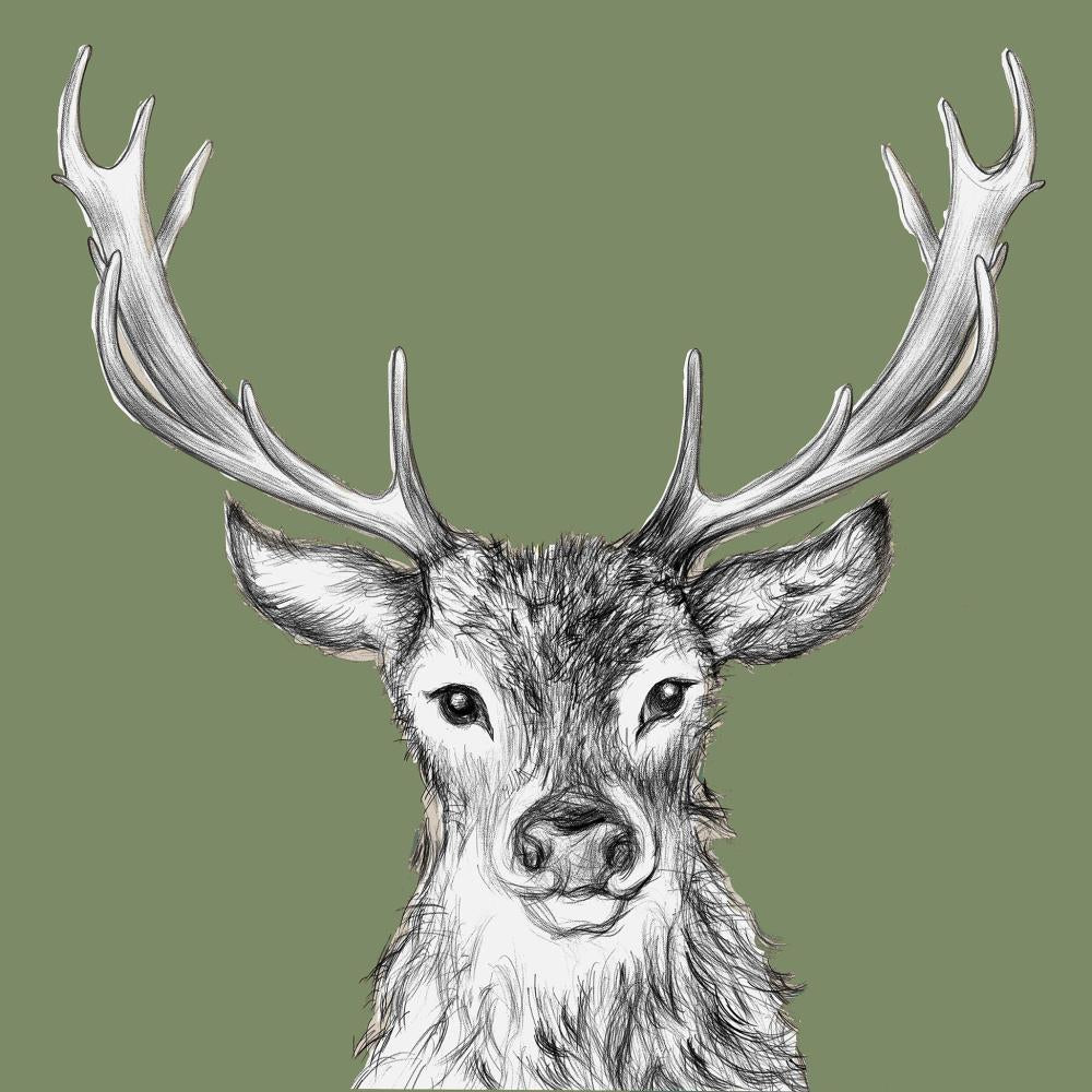 Paul Green Napkins