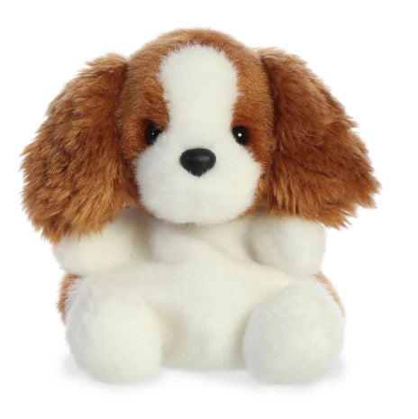 Dog Palm Pets