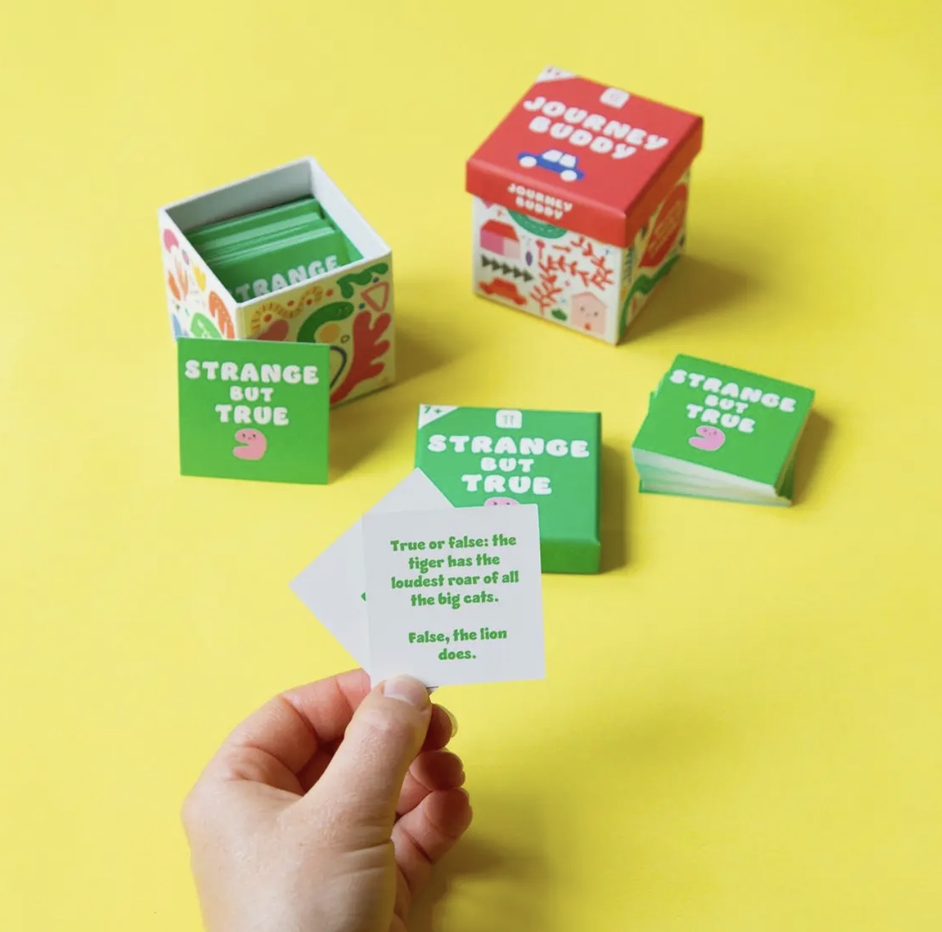 Kids Trivia Mixed Games - Display | Everyday Games I