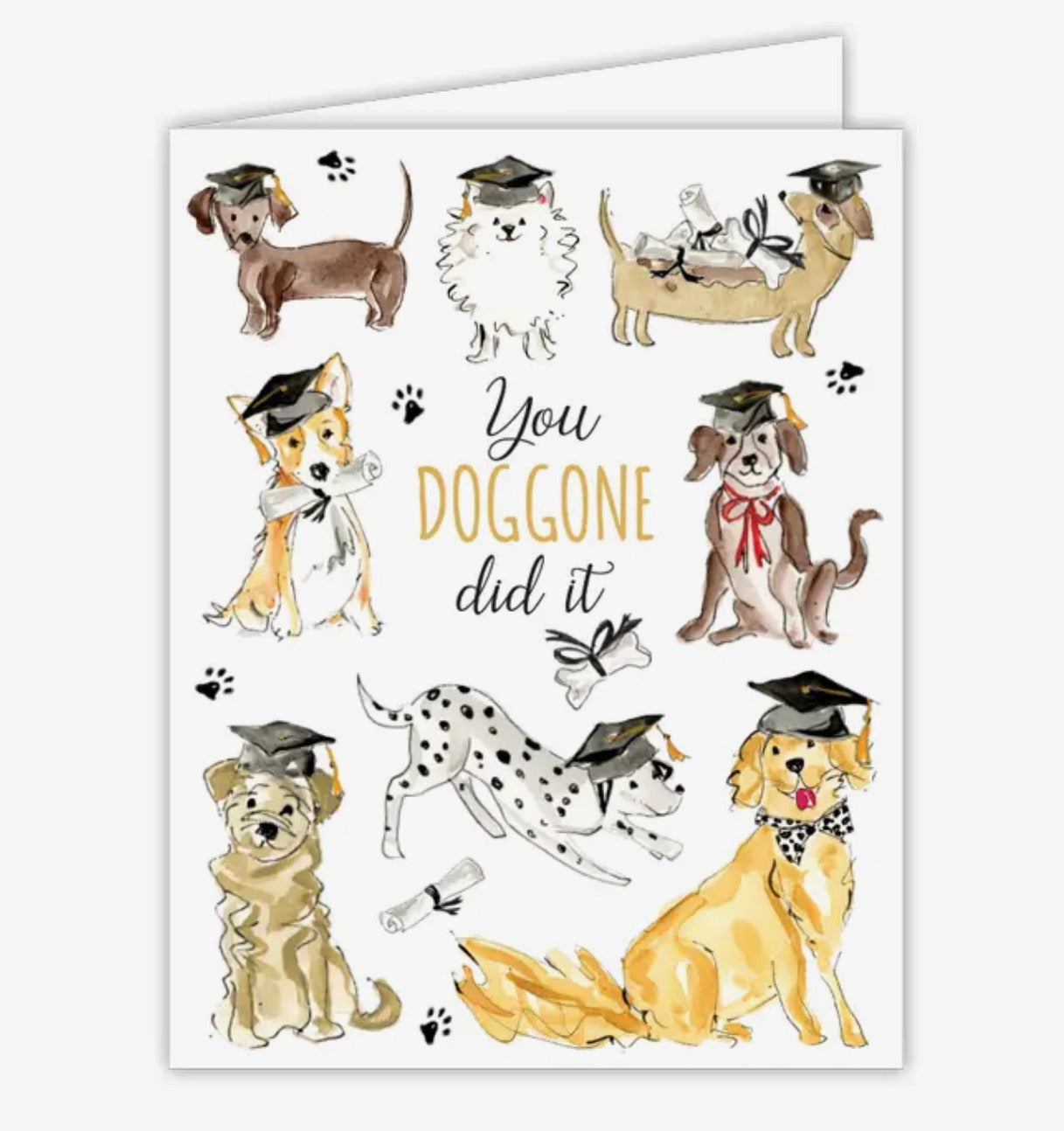 You Doggone did it!