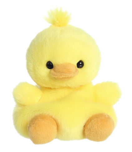 Duck Palm Pets