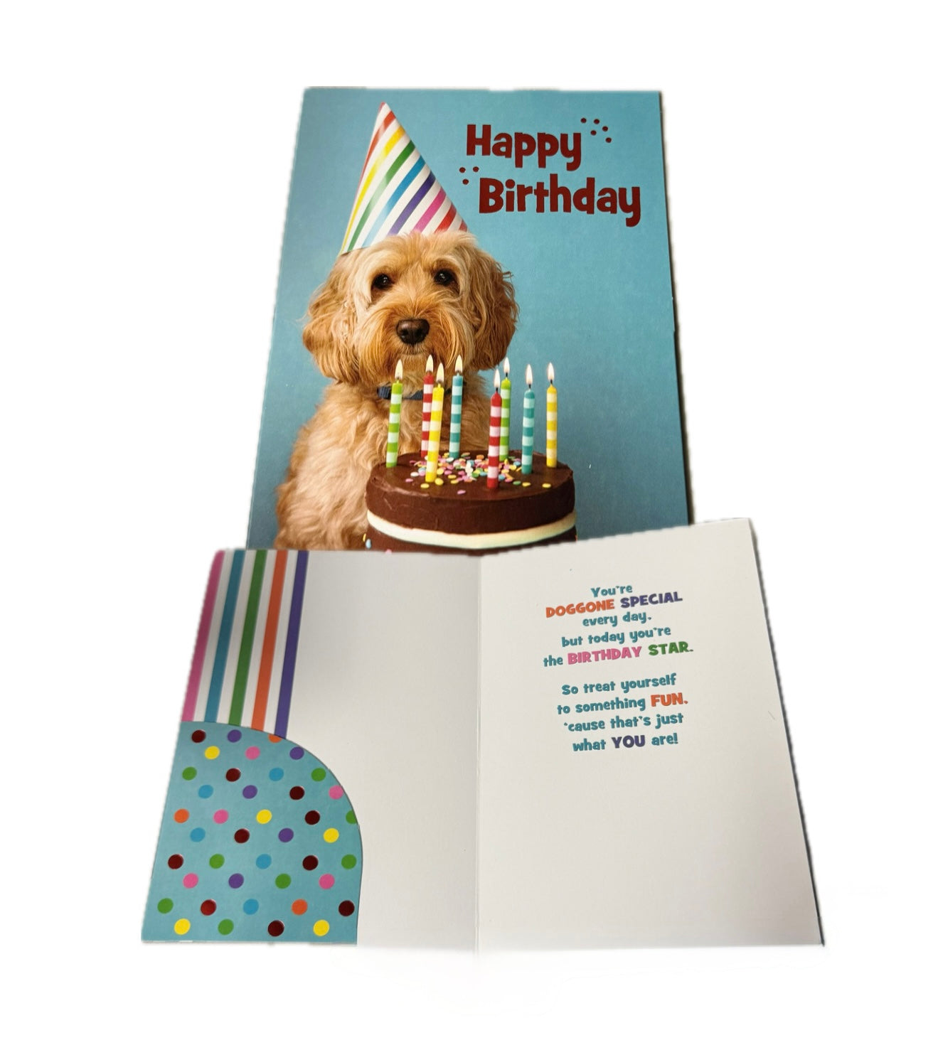 Happy Birthday Card - Dog