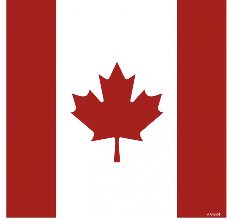 Canada Flag - Paviot Cocktail Napkin