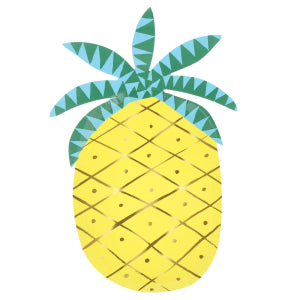 PINEAPPLE NAPKINS|MERI MERI