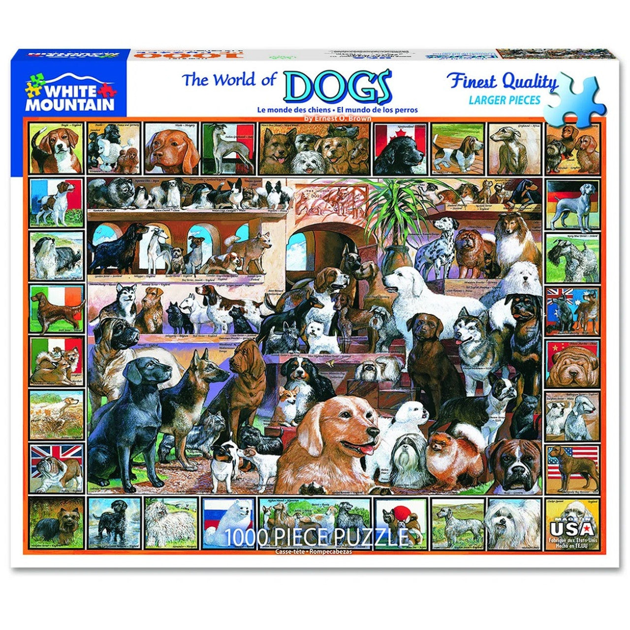 The world of dogs