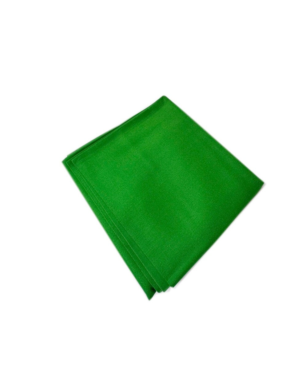 Green napkin 20ct