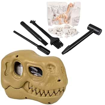 Dinosaur Excavation in Skull