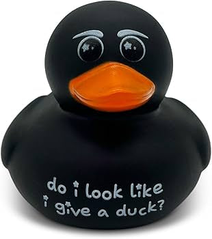 Do I look like I give a duck?