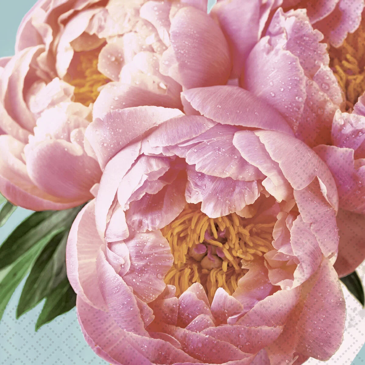 Pink Peony Lunch Napkins