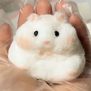 Taba Fluffs Hamster