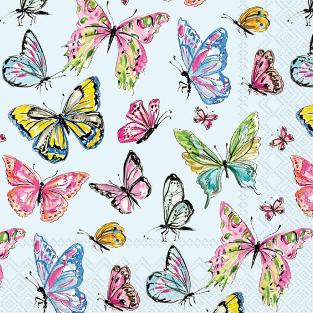 BUTTERFLY MEDLEY LUNCH