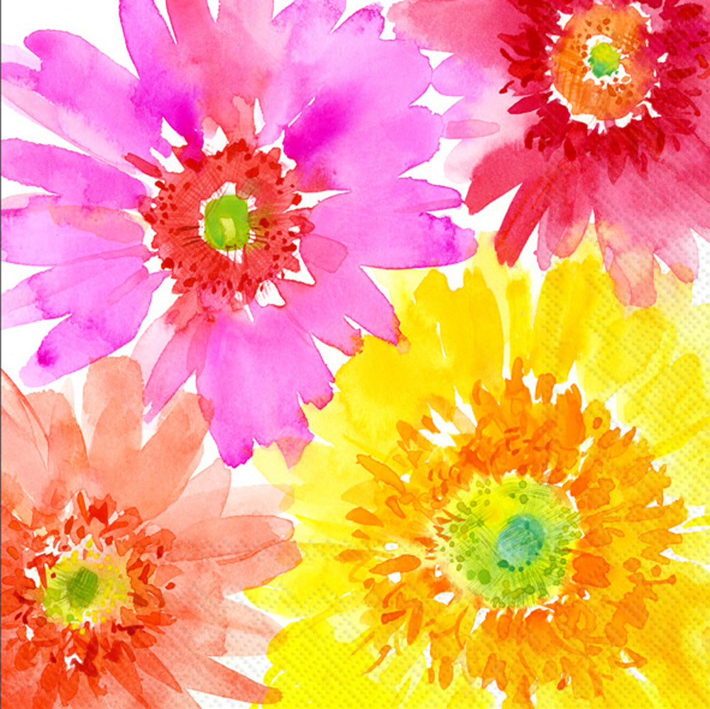 GERBERAS LUNCH NAPKIN