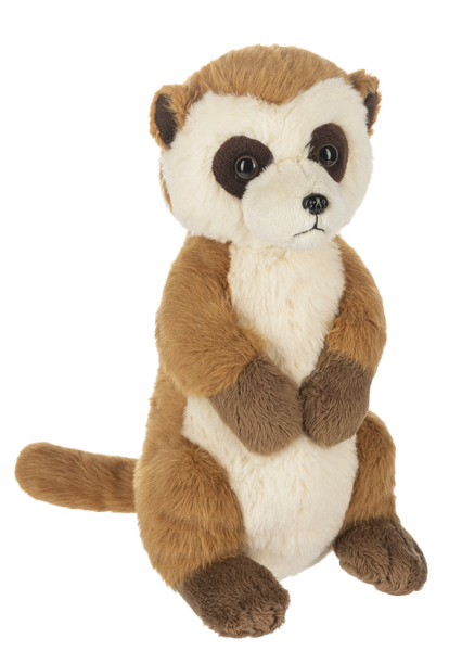 Webkinz - Meerkat
