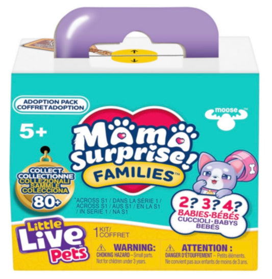 Mama Surprise Family