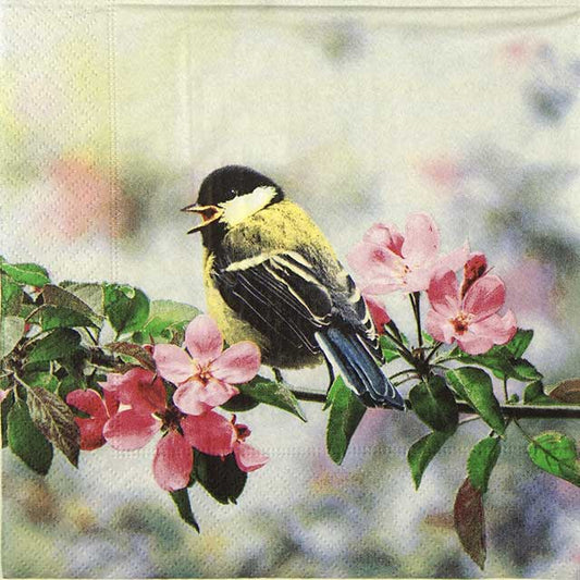 Spring Bird Lunch Napkin