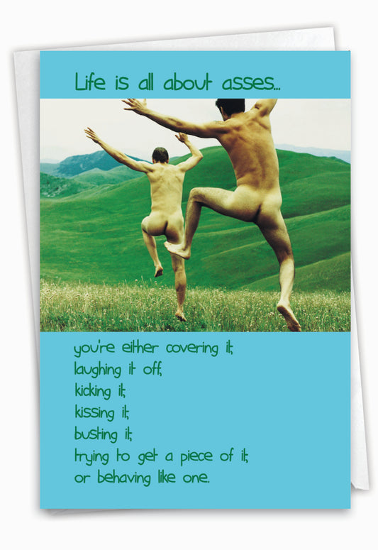 All about asses