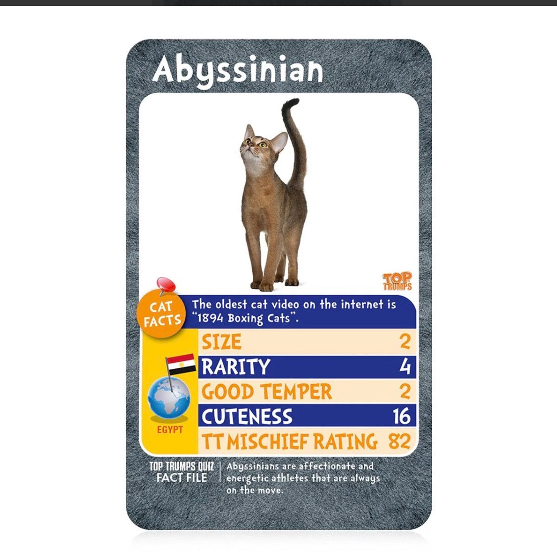 Top Trumps Cats