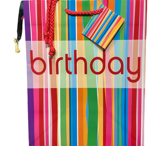 Rainbow medium hbd gift bag