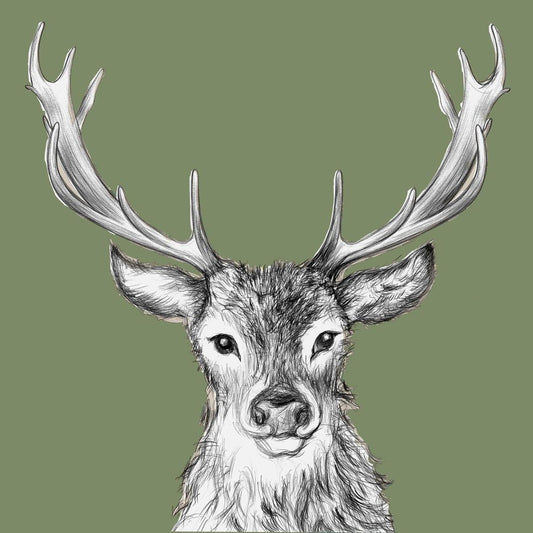 Paul Green Napkins