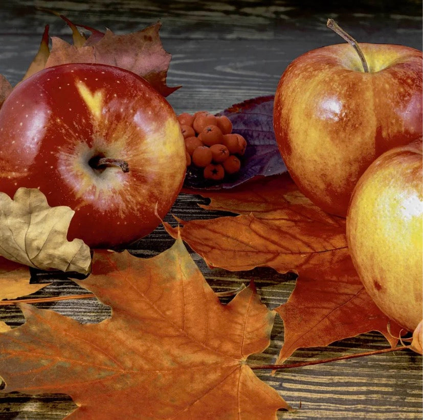 Autumn Apples Lunch Napkins