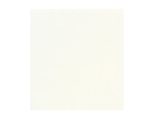 Solid White - Paviot Dinner Napkin