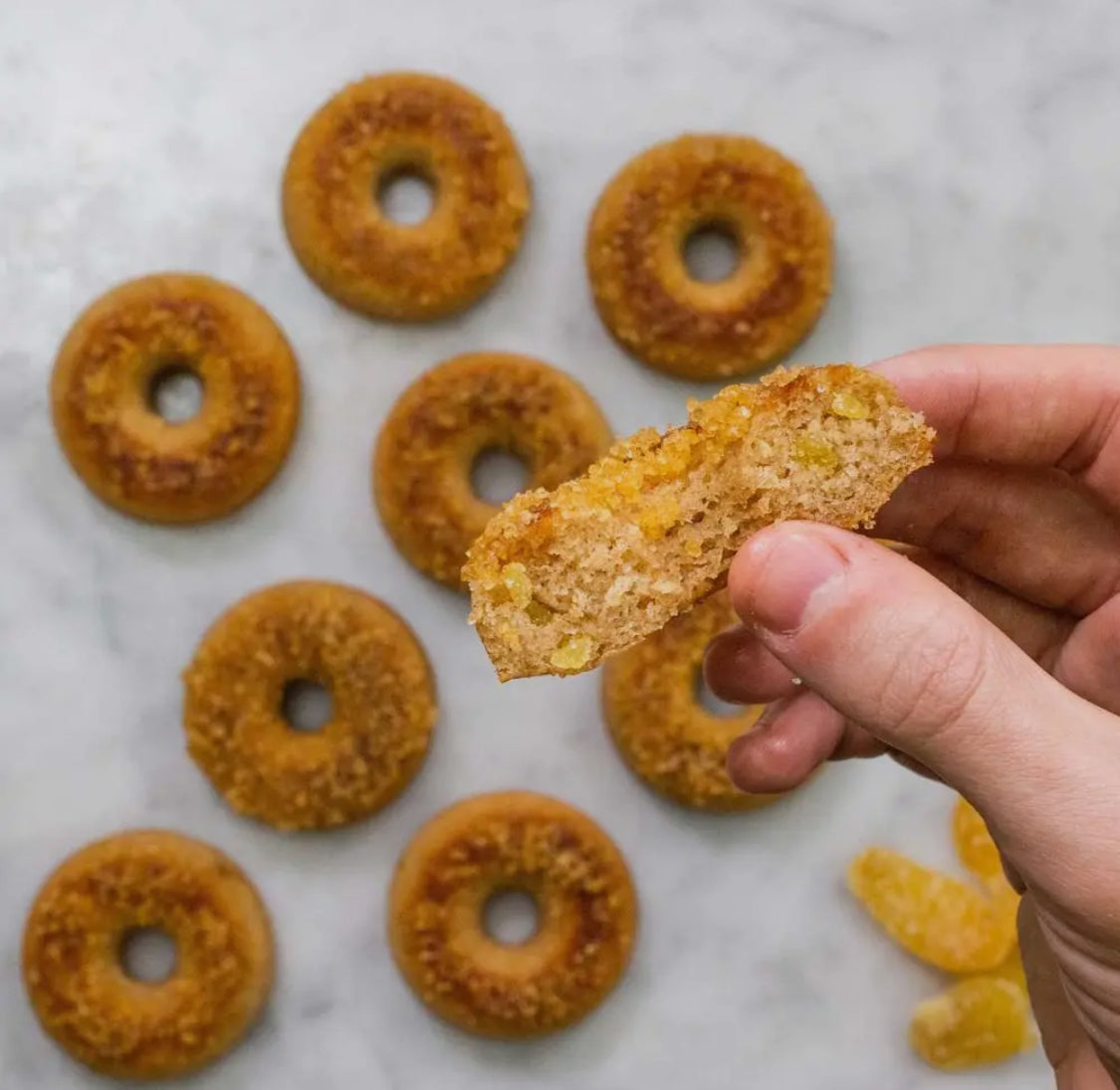Gingerbread Doughnut