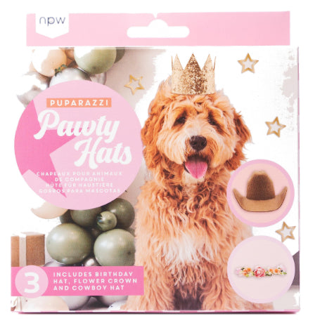 Paparazzi Pawty Hats