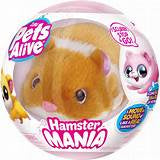 Pets Alive Hamster