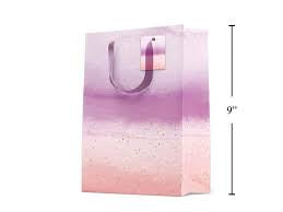 Medium pink sky gift bag
