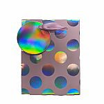 Mini cd rainbow gift bag