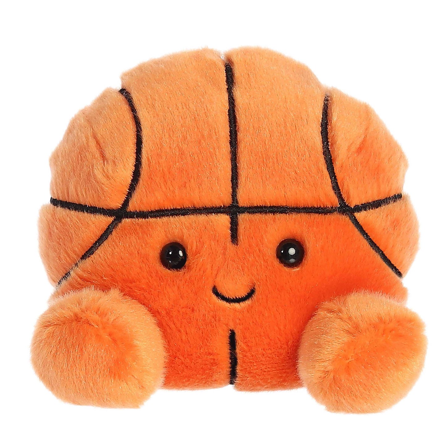 Hoops basketball - small