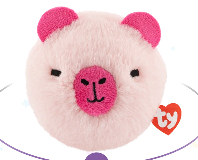 Ty Beanie Bouncers