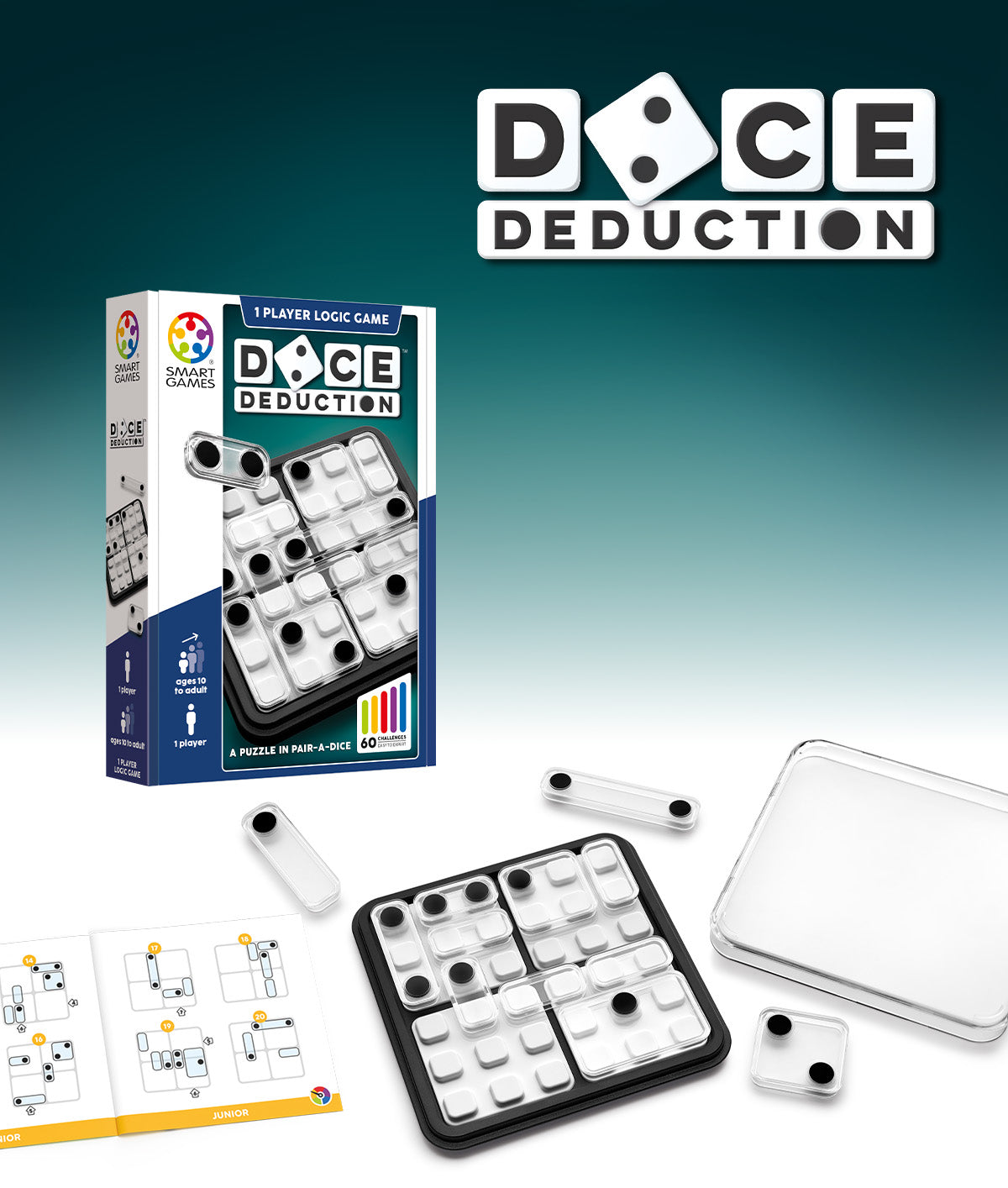 Dice Deduction - 1 player logic game
