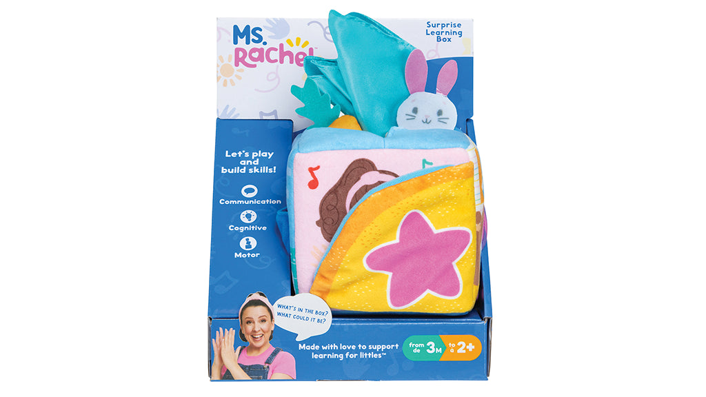 Ms Rachel Surprise Learning Box