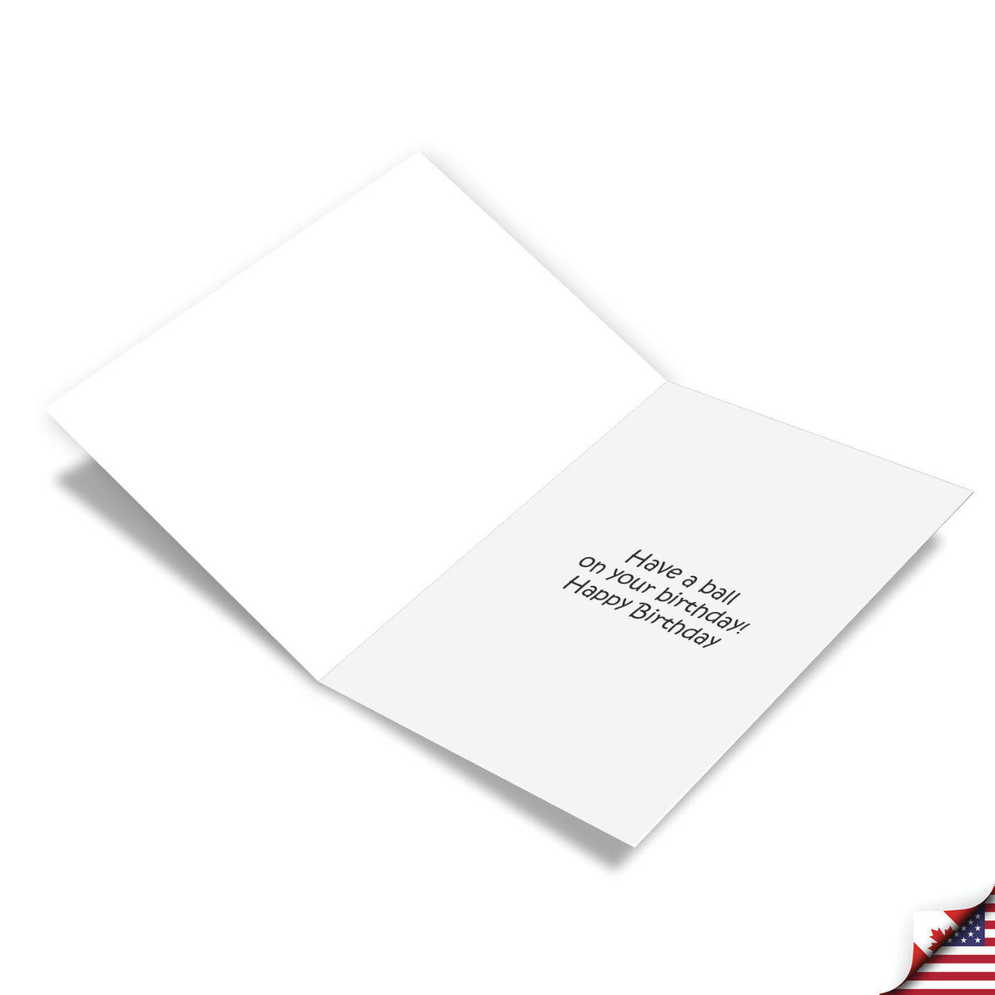 Bagging Area: Funny Birthday Greeting Card